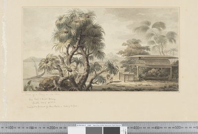 F.46 Vista di una tomba sulla riva del mare, c.1783-84 da John Webber