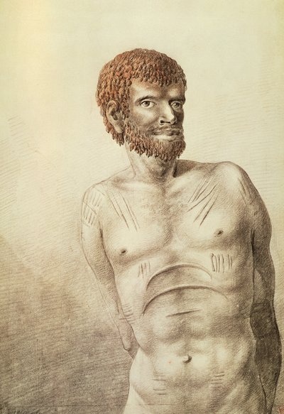 Nativo della Terra di Van Diemen, ora Tasmania, gennaio 1777 da John Webber