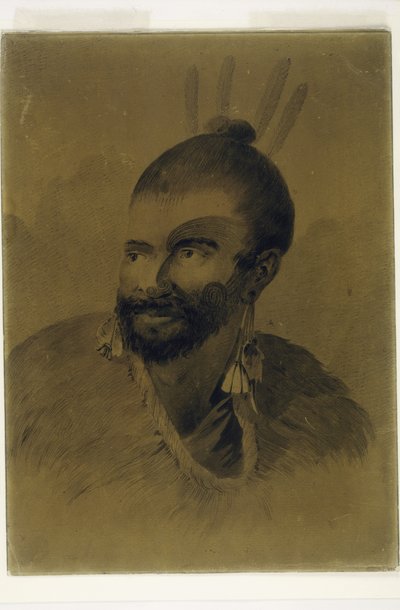 Ritratto di un neozelandese, c.1777 da John Webber