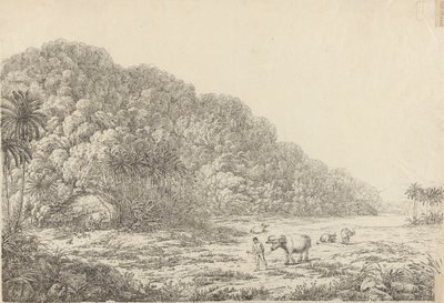Veduta dell