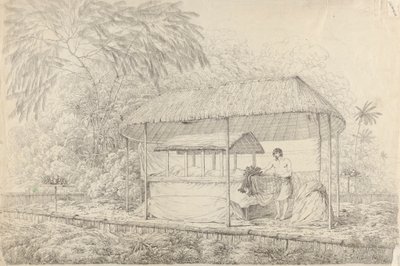 Waheiadooa, Capo di Oheitepha, in stato di riposo da John Webber