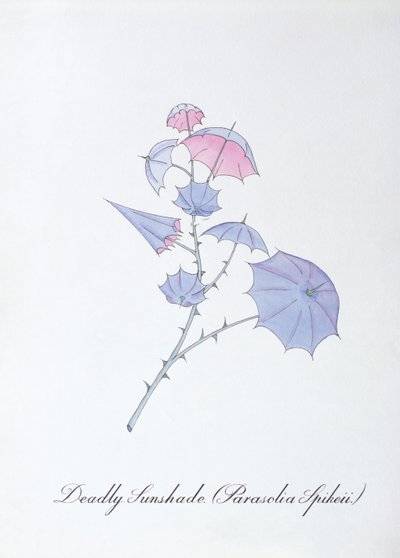 Deadly Sunshade (Parasolia Spikeii.), illustrazione da 