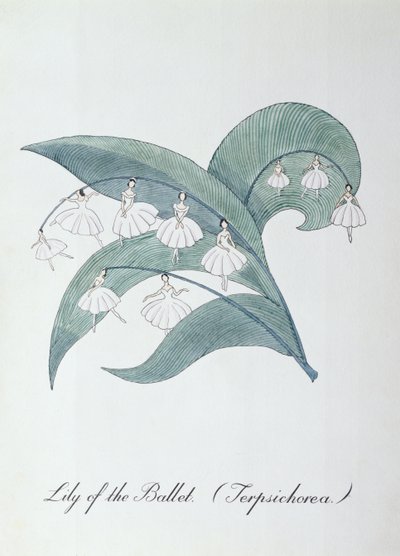 Giglio del balletto (Terpsichorea.), illustrazione da 