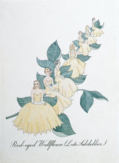 Wallflower dagli occhi rossi (Late Subdebbia), illustrazione da 