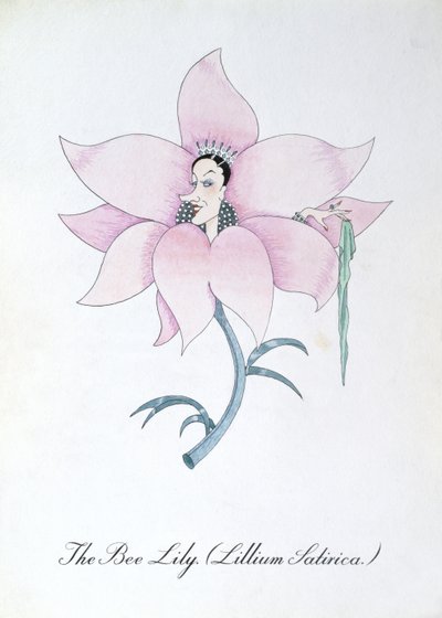 The Bee Lily (Lillium Satirica.), illustrazione da 
