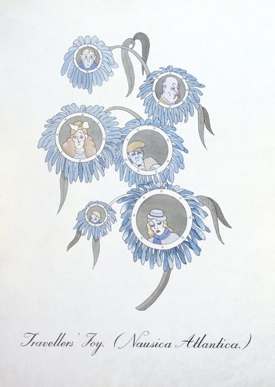 Gioia dei viaggiatori (Nausica Atlantica.), illustrazione da 
