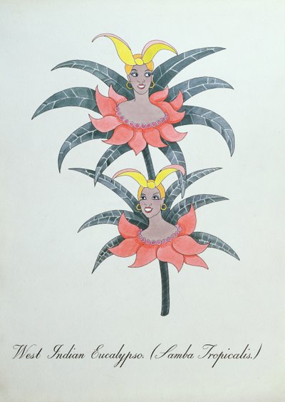 Eucalypso delle Indie Occidentali (Samba Tropicalis), illustrazione da 