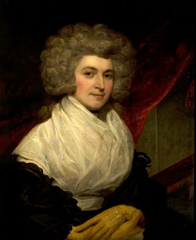 Ritratto di una signora da John Westbrooke Chandler