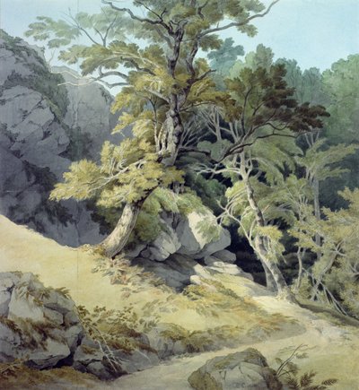 Canonteign, Devon da John White Abbott