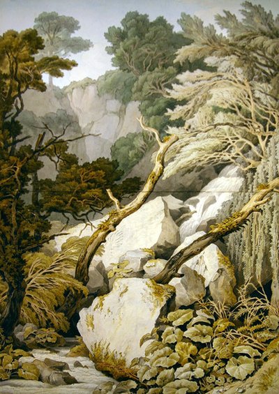 Chudleigh, Devon da John White Abbott