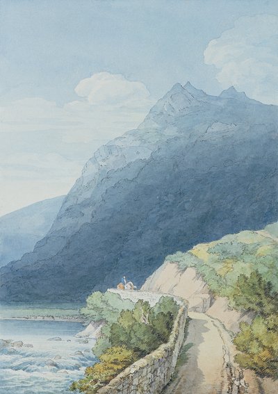 Il Dart a Holne Chase, Devon da John White Abbott