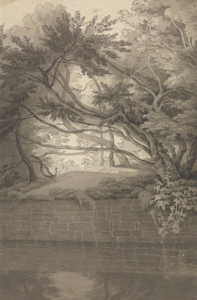 Alberi che Sovrastano un Lago da John White Abbott