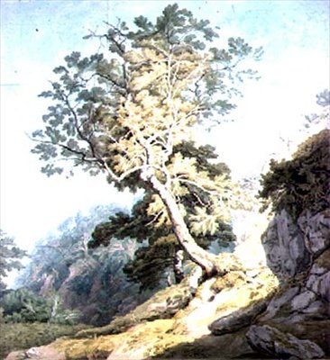 Vista vicino a Canonteign, Devon da John White Abbott