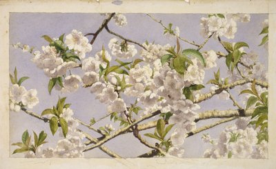 Fiori di melo, c.1874 da John William Hill