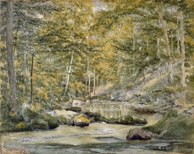 Piscina nel bosco con uomini che pescano, 1870 da John William Hill