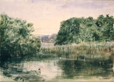 Veduta di un lago con alberi, 1857 da John William Inchbold