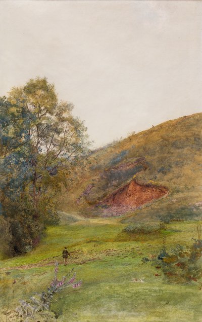 Le colline di Quantock, c.1870 da John William North