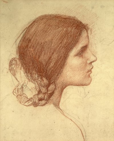 Testa di una ragazza, c.1905 da John William Waterhouse