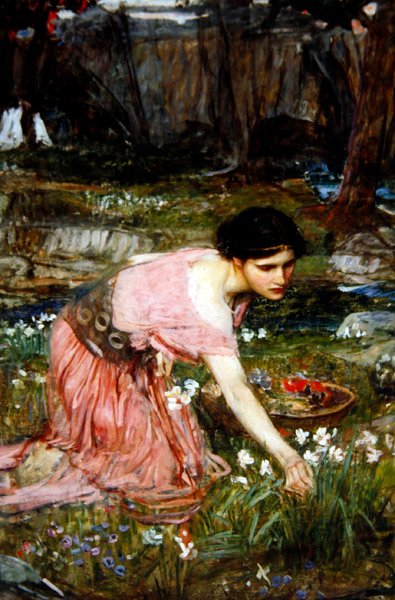 Fanciulle che raccolgono fiori vicino a un ruscello, c.1911 da John William Waterhouse