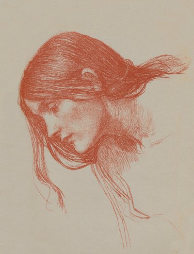 Studio di Fillide e Demofonte da John William Waterhouse