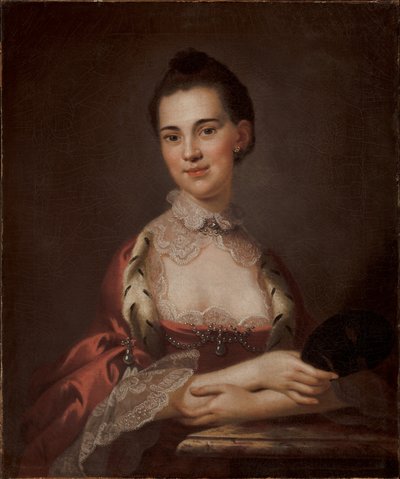 Ritratto di Anne Gibbes, Mrs Edward Thomas, 1767 da John Wollaston