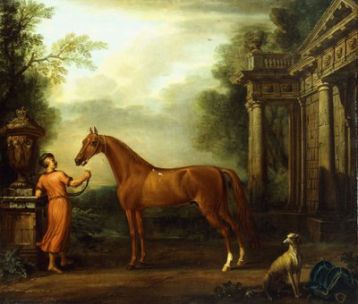 Il cavallo arabo castano di Hampton Court da John Wootton