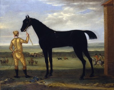 Il cavallo da corsa del Duca di Devonshire 