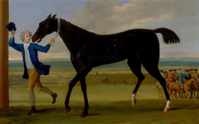 Il Bonny Black del duca di Rutland da John Wootton