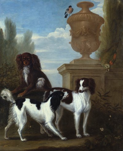 Tre spaniel vicino a un