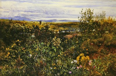 Paesaggio esteso con fiori selvatici, c.1855-1860 da John Wright Oakes