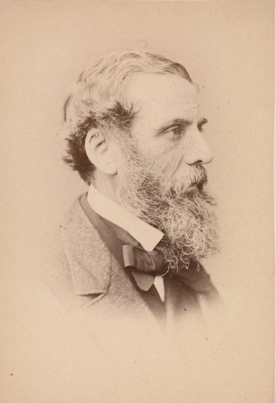 Richard Ansdell, 1860s da John and Charles Watkins