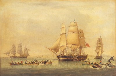 Baleniere della pesca nei mari del sud da John of Hull Ward