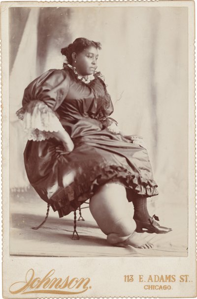 Ritratto di donna, c. 1890 (foto) da Johnson