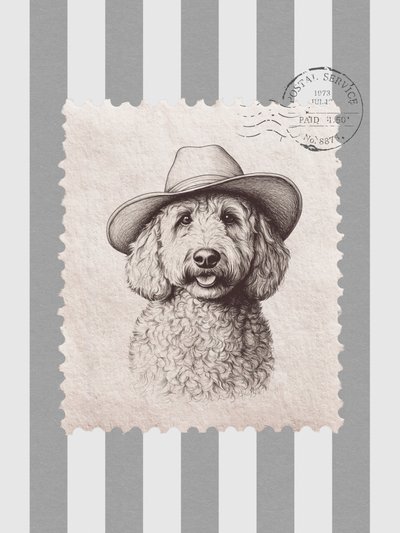 Timbro Cowboy Goldendoodle da Jolly and Dash