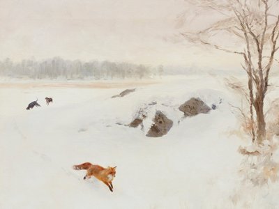 Caccia invernale alla volpe rossa da Jolly and Dash