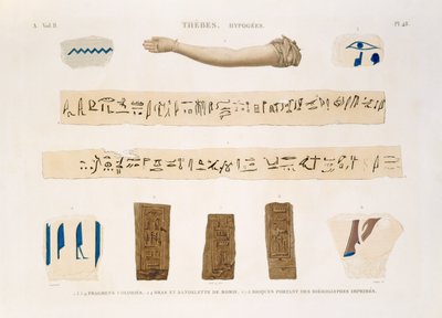 Illustrazioni di geroglifici e il braccio di una mummia da Hypogees, Tebe, tavola 48 dal Vol II di 
