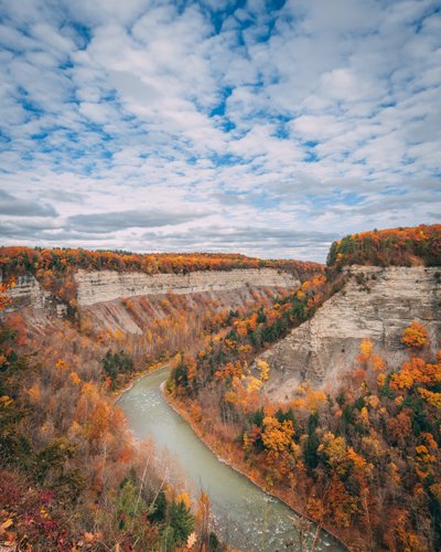 Colori autunnali nella gola del Letchworth State Park, New York, USA da Jon Bilous