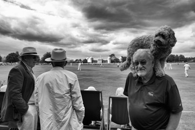 La tenuta di Goodwood nel West Sussex, Regno Unito, 2018 (foto) da Jon Nicholson