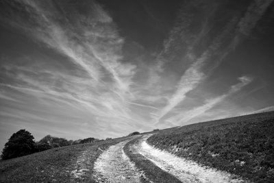 La tenuta di Goodwood nel West Sussex, Regno Unito, 2019 (foto) da Jon Nicholson