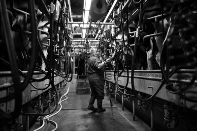 La tenuta di Goodwood nel West Sussex, Regno Unito, 2019 (foto) da Jon Nicholson
