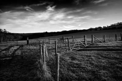 La tenuta di Goodwood nel West Sussex, Regno Unito, 2019 (foto) da Jon Nicholson