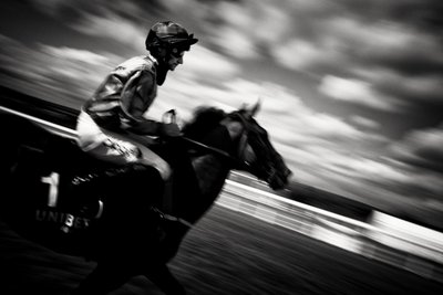 La tenuta di Goodwood nel West Sussex, Regno Unito, 2020 (foto) da Jon Nicholson