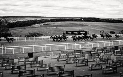 La tenuta di Goodwood nel West Sussex, Regno Unito, 2020 (foto) da Jon Nicholson