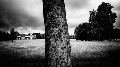La tenuta di Goodwood nel West Sussex, Regno Unito, 2020 (foto) da Jon Nicholson