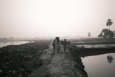 Pesca nelle zone umide a Kolkata, 2016 (foto) da Jon Nicholson