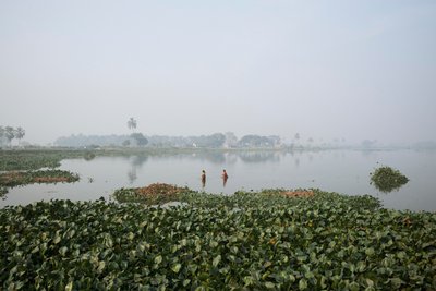Pesca nelle zone umide a Kolkata, 2016 (foto) da Jon Nicholson