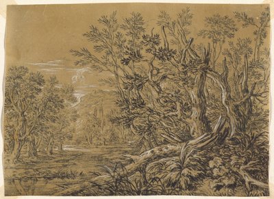 Ruscello attraverso una foresta antica da Jonas Umbach