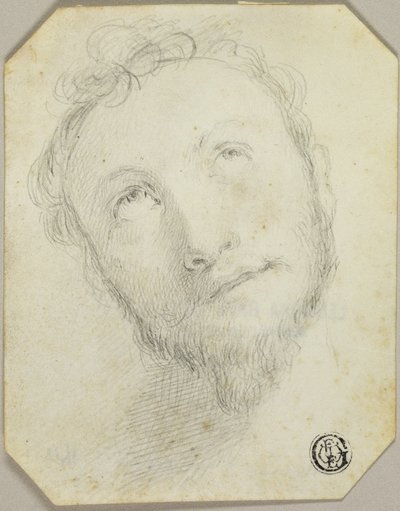 Testa di uomo barbuto che guarda verso l