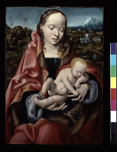 Vergine e Bambino Gesù dormiente da Joos van Cleve