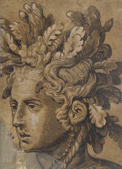 Testa di driade dopo Frans Floris da Joos van Gietleughen